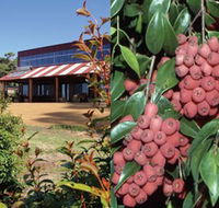 Bushfood Factory and Cafe - Accommodation Mooloolaba