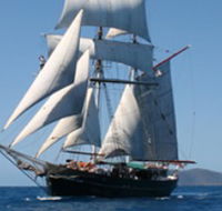 Australian Tallship Cruises - Accommodation Mooloolaba