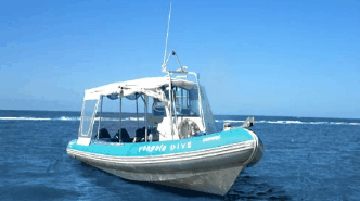 Yongala Dive  - Accommodation Mooloolaba 1