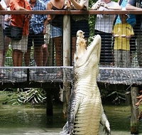Hartley's Crocodile Adventures - Accommodation Mooloolaba