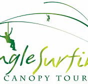 Jungle Surfing Canopy Tours and Jungle Adventures Nightwalks - Accommodation Mooloolaba