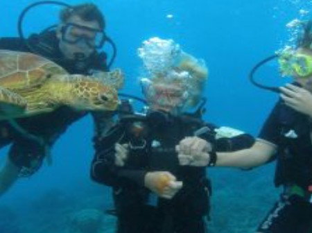 Brinsmead QLD Accommodation Mooloolaba