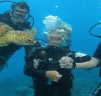 Yardarm Pty Ltd t/a Passions of Paradise - Accommodation Mooloolaba