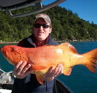 Gone Fishing by Coral Sea Fishing Charters Airlie Beach - Accommodation Mooloolaba