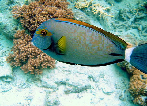 Illusions - Accommodation Mooloolaba 0