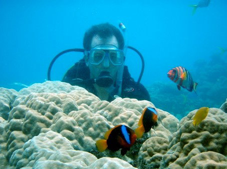 Illusions - Accommodation Mooloolaba 1