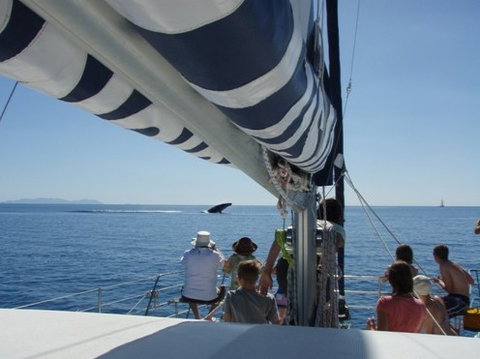 Illusions - Accommodation Mooloolaba 2