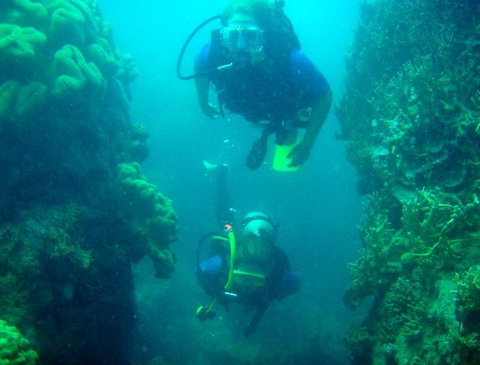 Illusions - Accommodation Mooloolaba 4