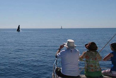 Illusions - Accommodation Mooloolaba 5