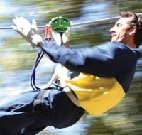 Adventure Parc - Accommodation Mooloolaba