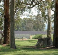 Aloomba Lavender - Accommodation Mooloolaba