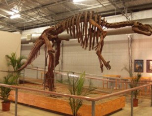 Winton QLD Accommodation Mooloolaba