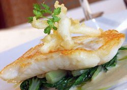 Australia Hotel - Accommodation Mooloolaba 2