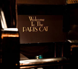 Paris Cat - Accommodation Mooloolaba 1
