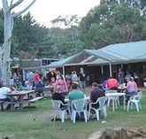 Bush Shack Brewery - Accommodation Mooloolaba
