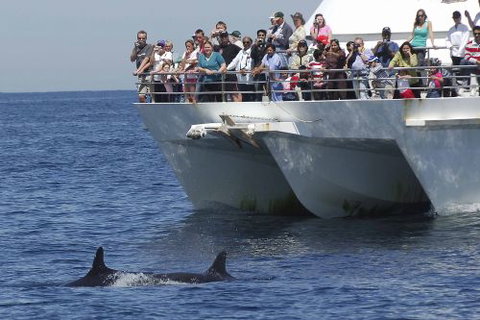 Illawarra Leagues Club - Accommodation Mooloolaba 1