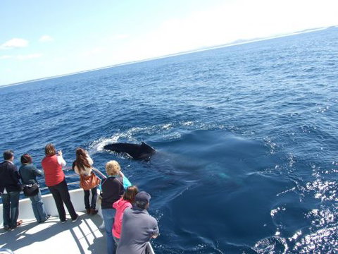 Illawarra Leagues Club - Accommodation Mooloolaba 2