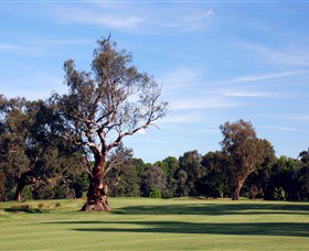 Corowa Golf Club - Accommodation Mooloolaba 5