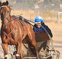 Ballarat  District Trotting Club - Accommodation Mooloolaba