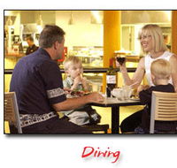 Steelers Club - Accommodation Mooloolaba