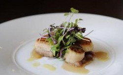 Willoughby NSW Accommodation Mooloolaba