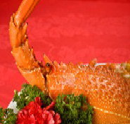 Marigold - Accommodation Mooloolaba