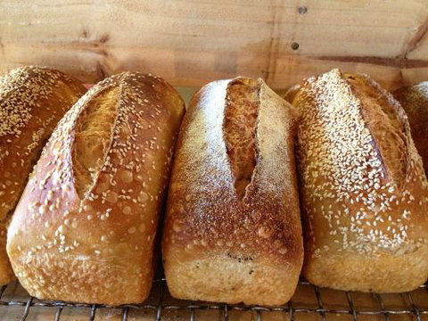 Blackbird Artisan Bakery - Accommodation Mooloolaba 0