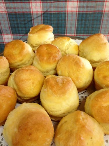 Blackbird Artisan Bakery - Accommodation Mooloolaba 3