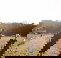 Arcadia - Accommodation Mooloolaba