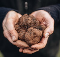 A Taste of Truffles - Accommodation Mooloolaba