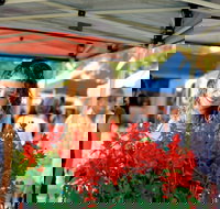 Ballina Missingham Farmers Market - Accommodation Mooloolaba