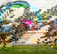 Bathurst Cup - Accommodation Mooloolaba