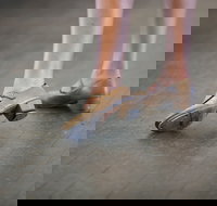 Beginner Tap - Accommodation Mooloolaba