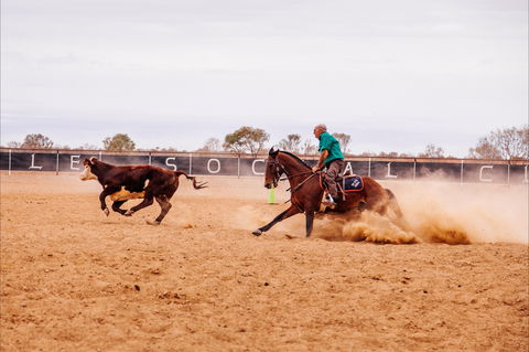 Birdsville Campdraft,  Rodeo And Bronco Branding - Accommodation Mooloolaba 0