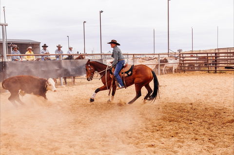 Birdsville Campdraft,  Rodeo And Bronco Branding - Accommodation Mooloolaba 2