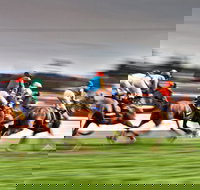 Grafton July Racing Carnival - Accommodation Mooloolaba