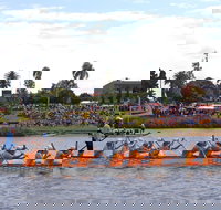 Jacaranda Dragon Boat Races - Accommodation Mooloolaba
