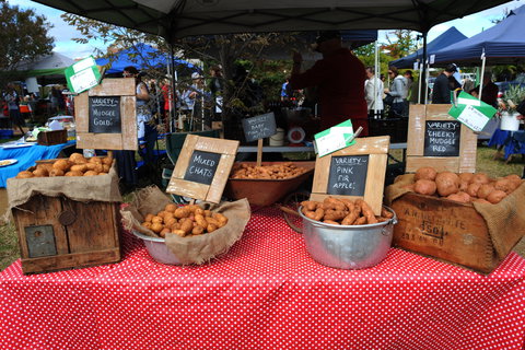 Lawson Park Markets - Accommodation Mooloolaba 0