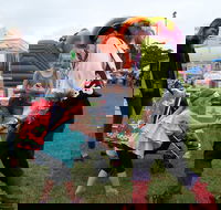 Pambula Show - Accommodation Mooloolaba