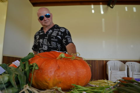 Pambula Show - Accommodation Mooloolaba 1