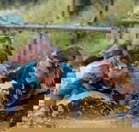 Suck It Up Buttercup Vikings Obstacle Course - Accommodation Mooloolaba