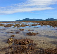 Walk to the Reef - Accommodation Mooloolaba