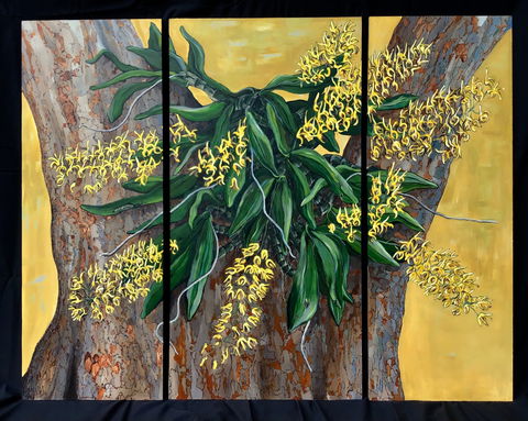 A Still Life - Solo Exhibition  Karen Sedaitis - Accommodation Mooloolaba 1