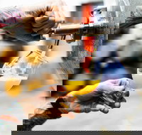 Brewing for Beginners - Accommodation Mooloolaba