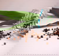 Cooking with Australian Indigenous Spices cooking class - Accommodation Mooloolaba