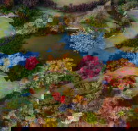 Glenrock Gardens Open Garden - Accommodation Mooloolaba