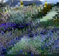 Highfield Gardens - Accommodation Mooloolaba