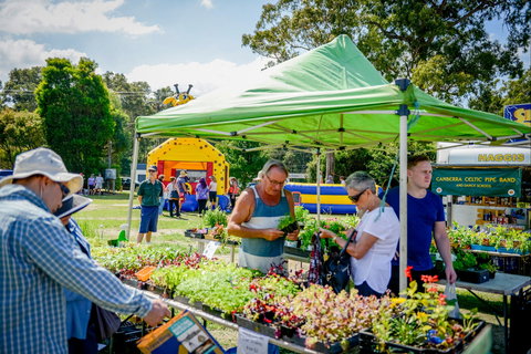 Huskisson Market - Accommodation Mooloolaba 0