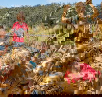 Mini Muddies Obstacle Challenge at Bunnamagoo Estate - Accommodation Mooloolaba