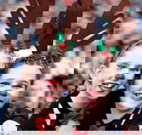 Mount Druitt Christmas Light Up Concert - Accommodation Mooloolaba